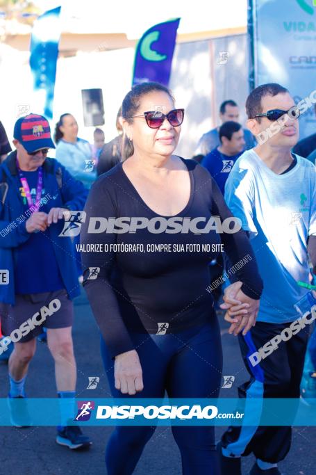 APAE Day Run Rolândia 2023