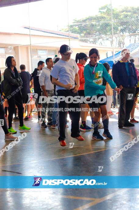 APAE Day Run Rolândia 2023