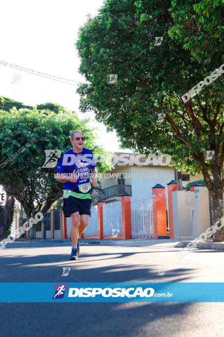 APAE Day Run Rolândia 2023