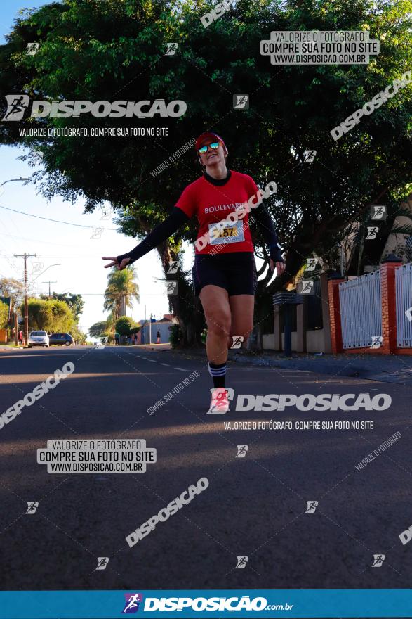 APAE Day Run Rolândia 2023