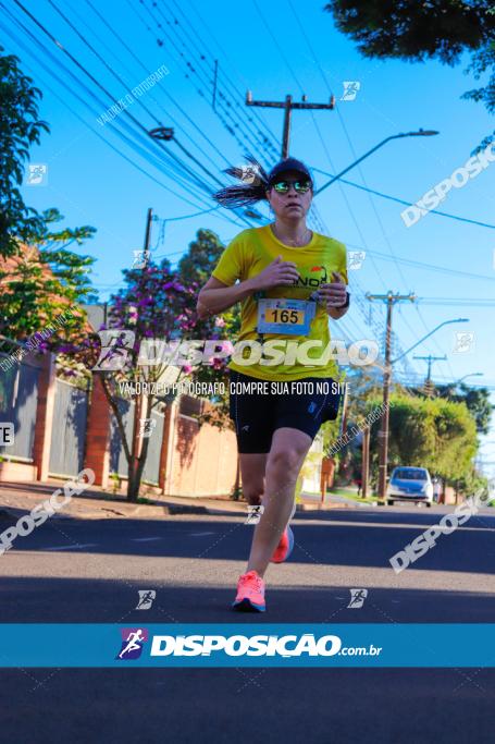 APAE Day Run Rolândia 2023