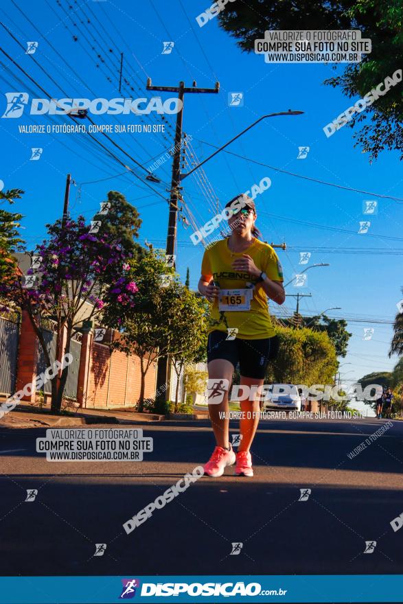 APAE Day Run Rolândia 2023