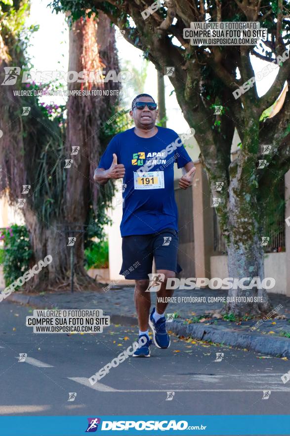 APAE Day Run Rolândia 2023