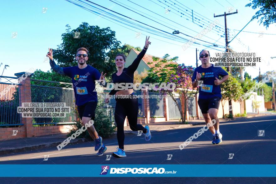 APAE Day Run Rolândia 2023