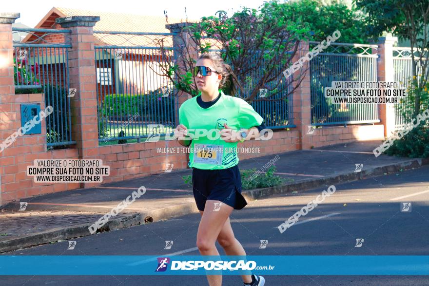 APAE Day Run Rolândia 2023