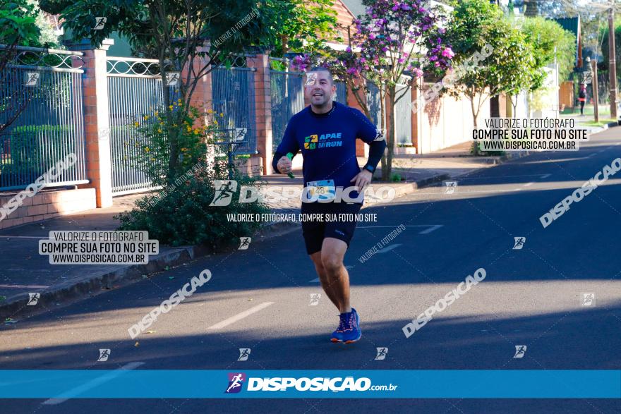 APAE Day Run Rolândia 2023