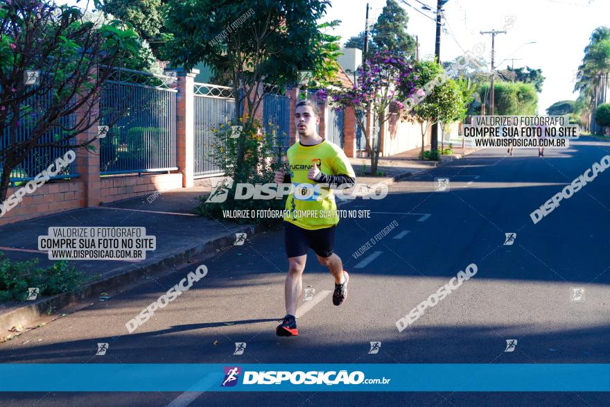 APAE Day Run Rolândia 2023