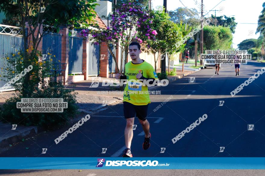 APAE Day Run Rolândia 2023