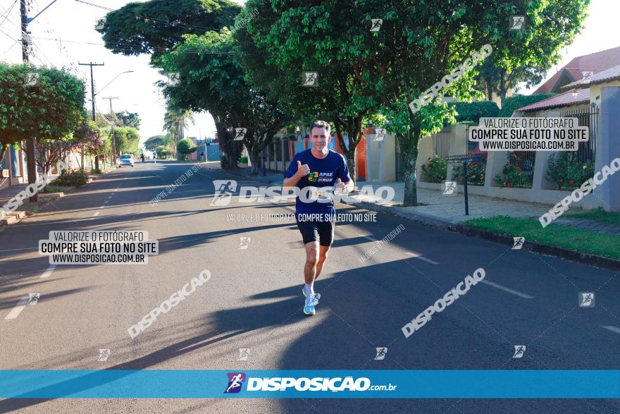 APAE Day Run Rolândia 2023