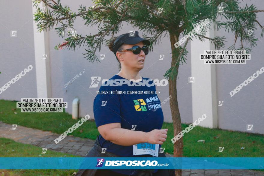 APAE Day Run Rolândia 2023