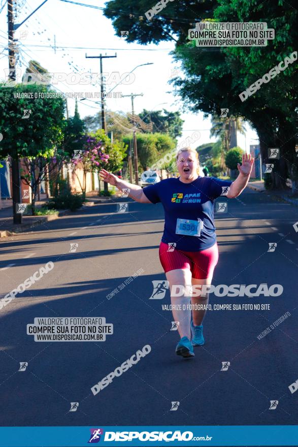 APAE Day Run Rolândia 2023