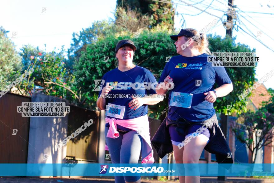 APAE Day Run Rolândia 2023