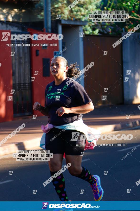 APAE Day Run Rolândia 2023