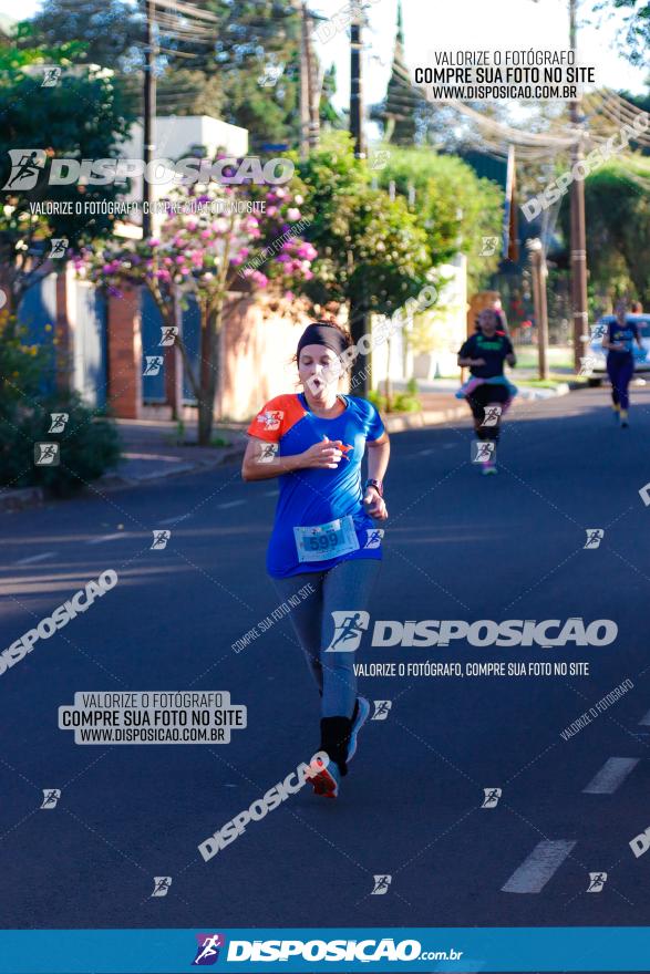 APAE Day Run Rolândia 2023