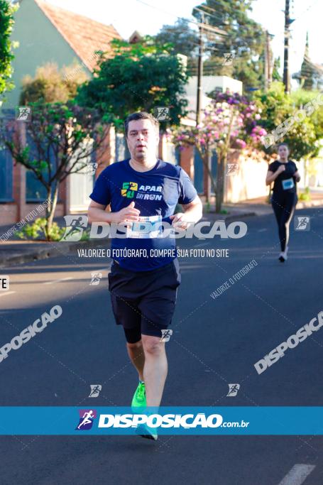 APAE Day Run Rolândia 2023