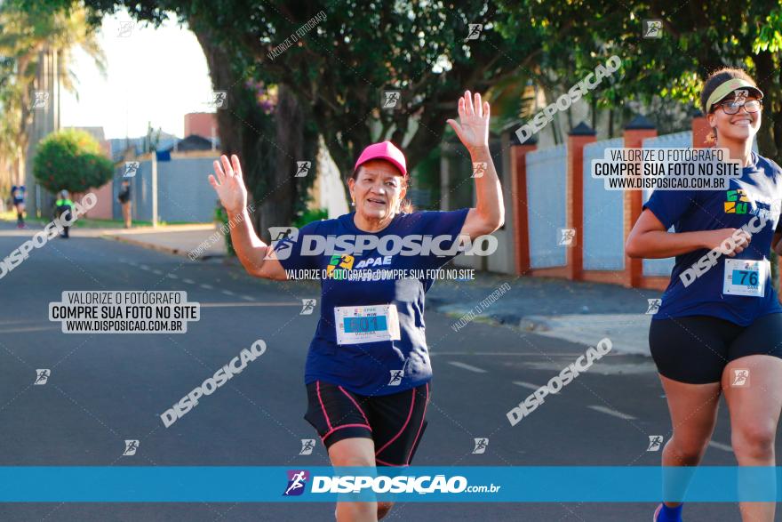 APAE Day Run Rolândia 2023