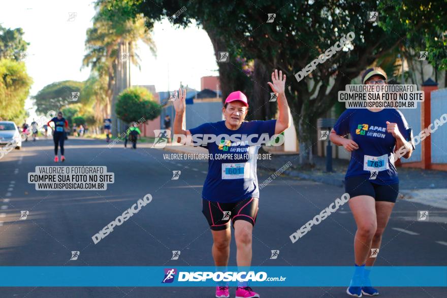 APAE Day Run Rolândia 2023