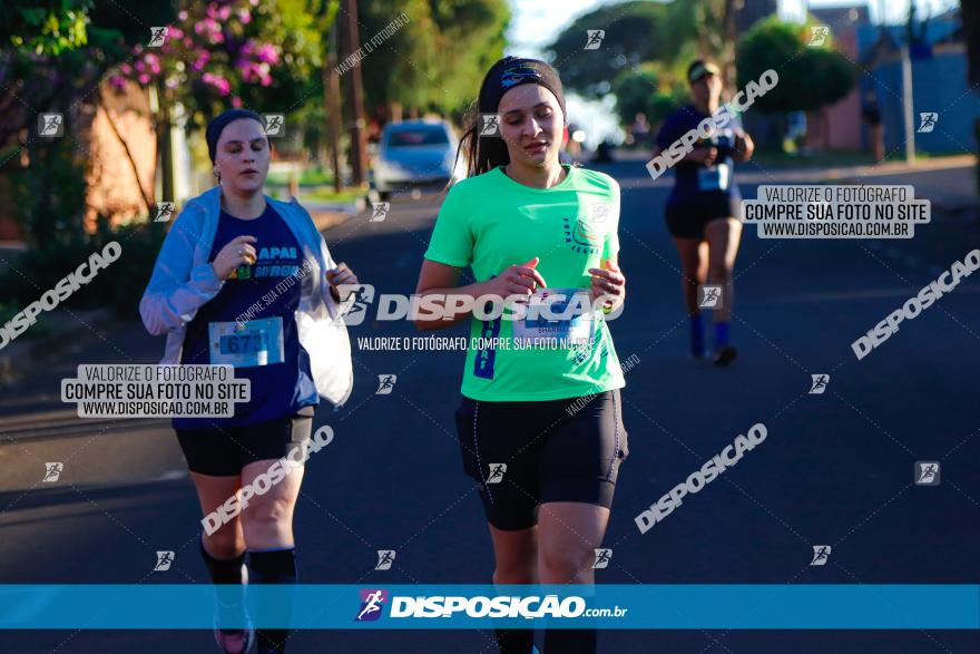 APAE Day Run Rolândia 2023