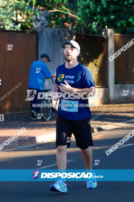 APAE Day Run Rolândia 2023