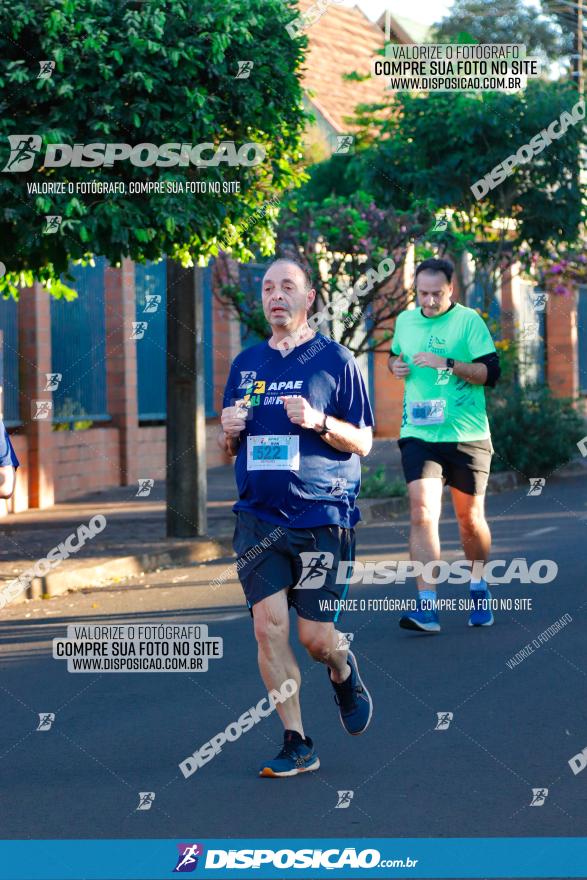 APAE Day Run Rolândia 2023