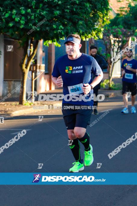 APAE Day Run Rolândia 2023