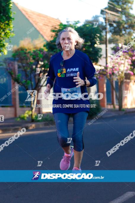 APAE Day Run Rolândia 2023