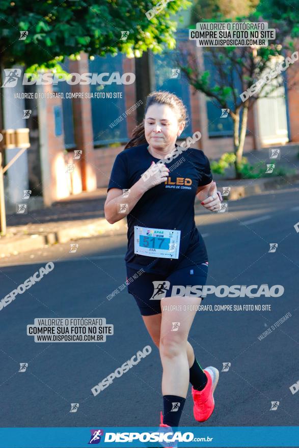 APAE Day Run Rolândia 2023