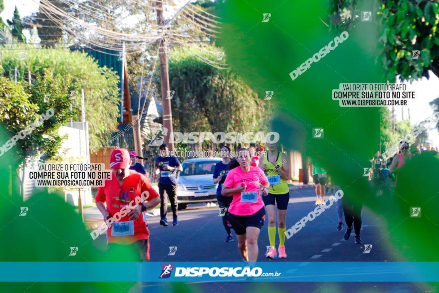 APAE Day Run Rolândia 2023