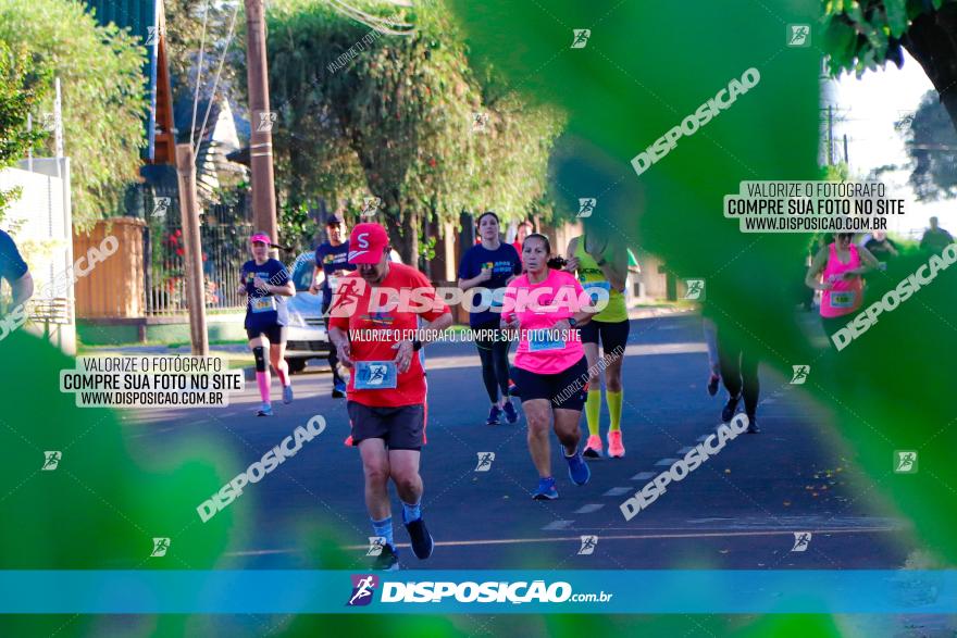 APAE Day Run Rolândia 2023