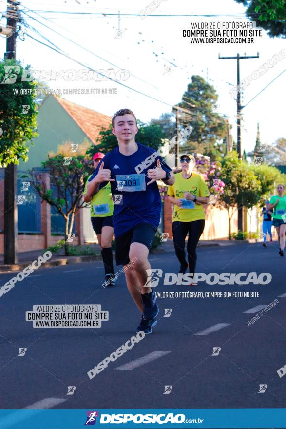 APAE Day Run Rolândia 2023