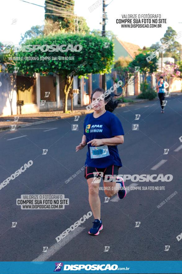 APAE Day Run Rolândia 2023