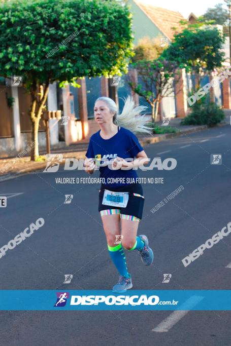 APAE Day Run Rolândia 2023