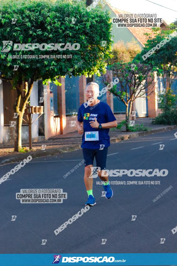 APAE Day Run Rolândia 2023