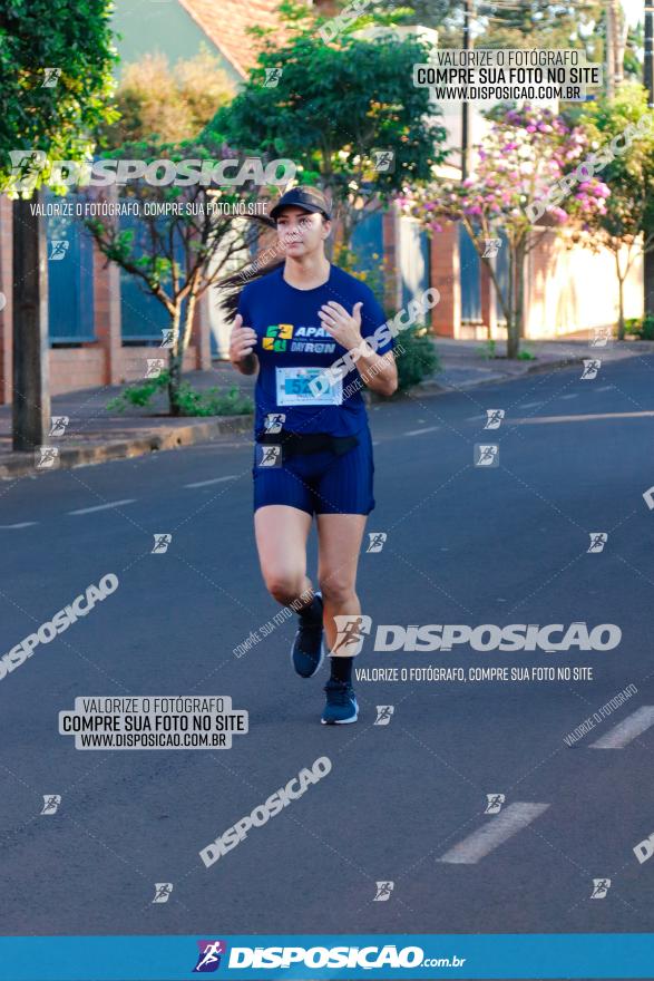 APAE Day Run Rolândia 2023