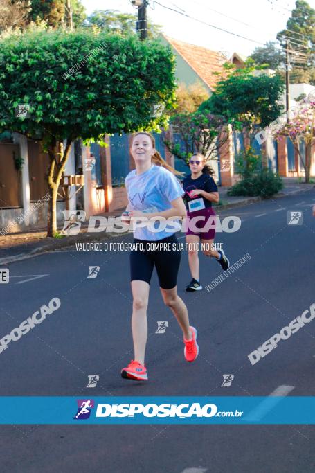 APAE Day Run Rolândia 2023