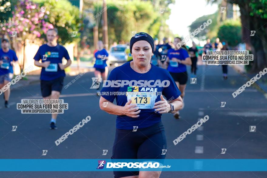 APAE Day Run Rolândia 2023