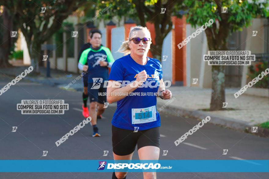 APAE Day Run Rolândia 2023