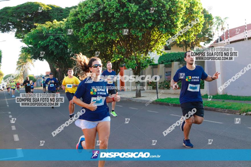 APAE Day Run Rolândia 2023