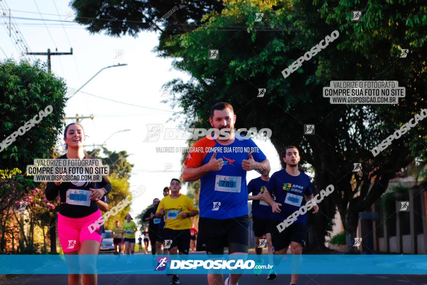 APAE Day Run Rolândia 2023