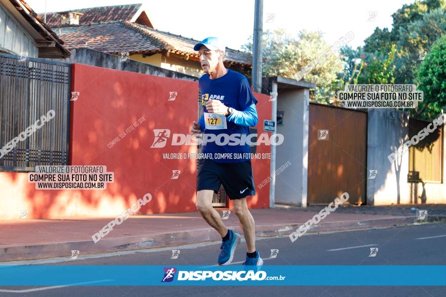 APAE Day Run Rolândia 2023