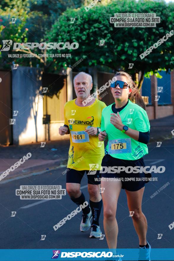 APAE Day Run Rolândia 2023