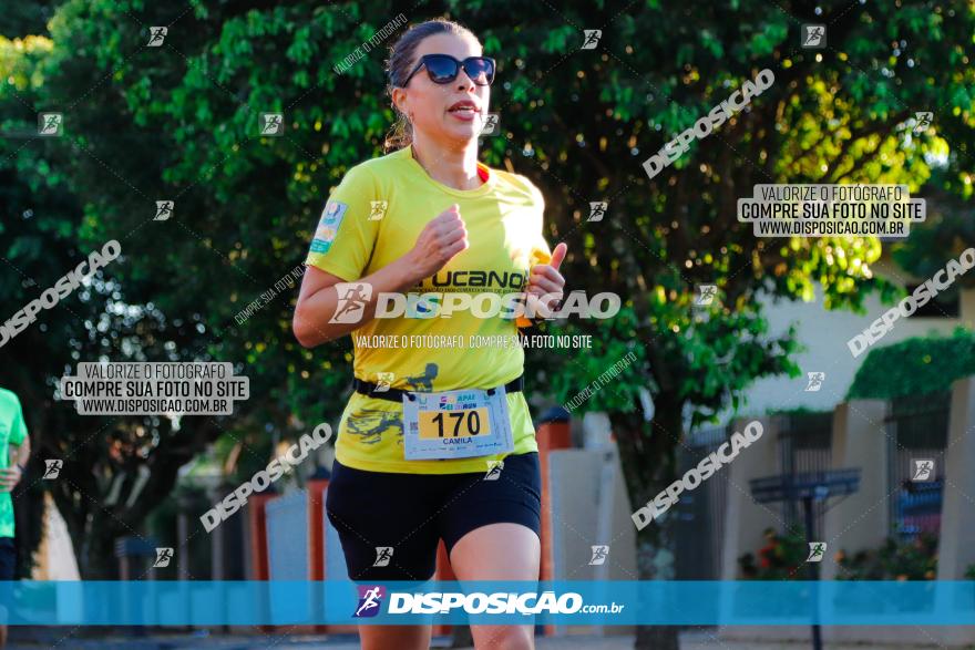 APAE Day Run Rolândia 2023