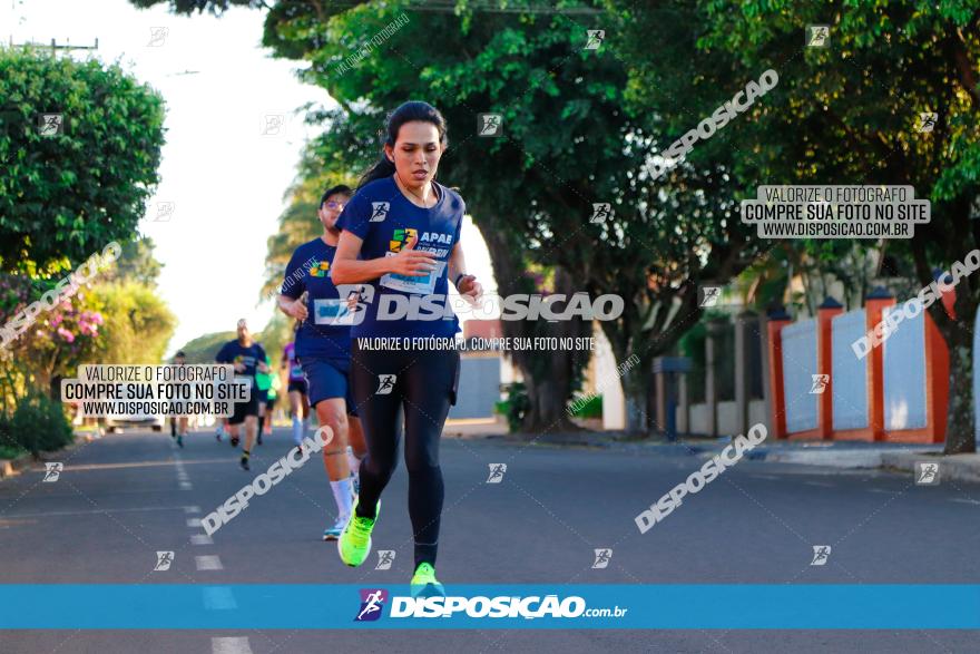 APAE Day Run Rolândia 2023