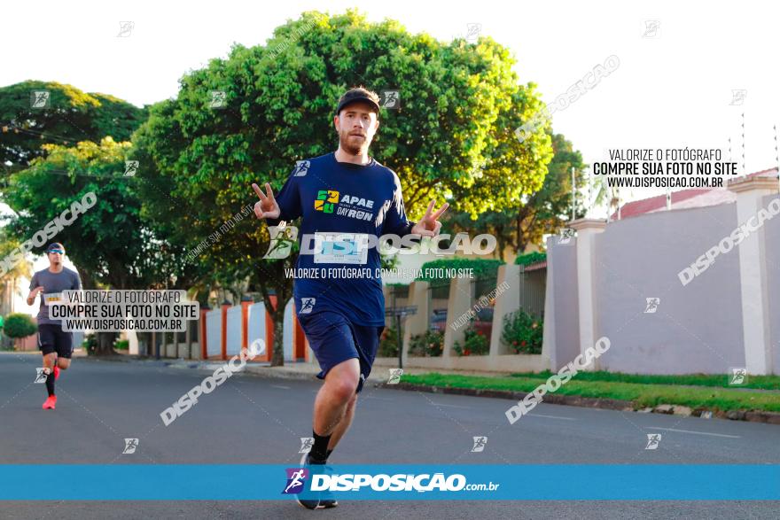 APAE Day Run Rolândia 2023