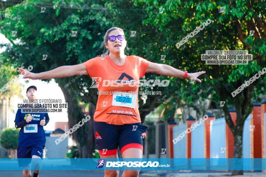 APAE Day Run Rolândia 2023