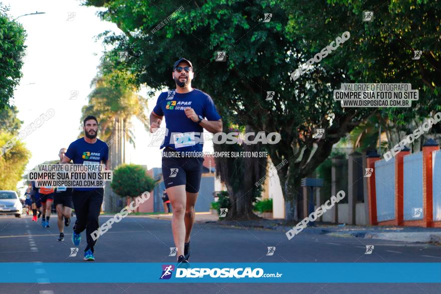 APAE Day Run Rolândia 2023