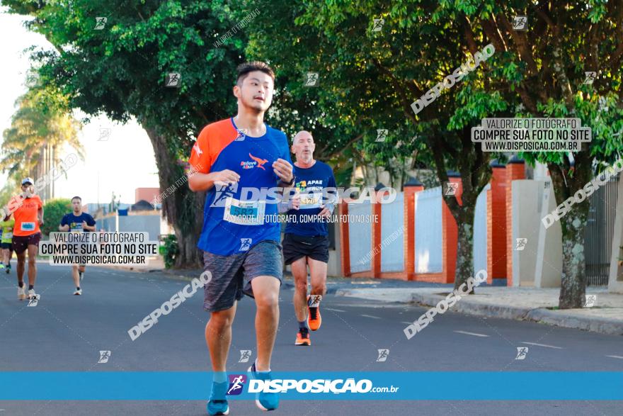 APAE Day Run Rolândia 2023