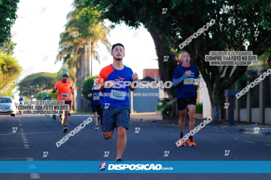 APAE Day Run Rolândia 2023