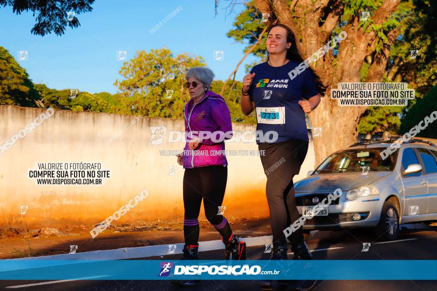 APAE Day Run Rolândia 2023