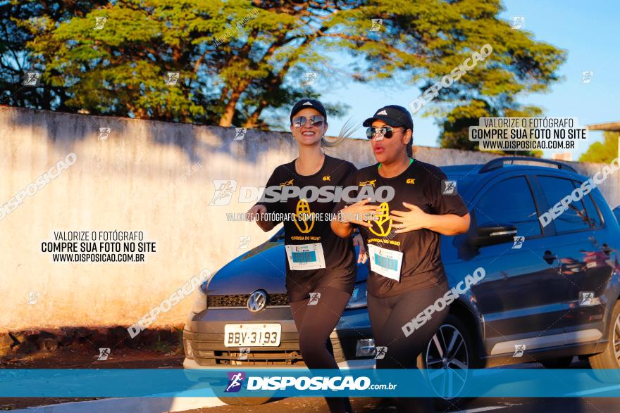 APAE Day Run Rolândia 2023